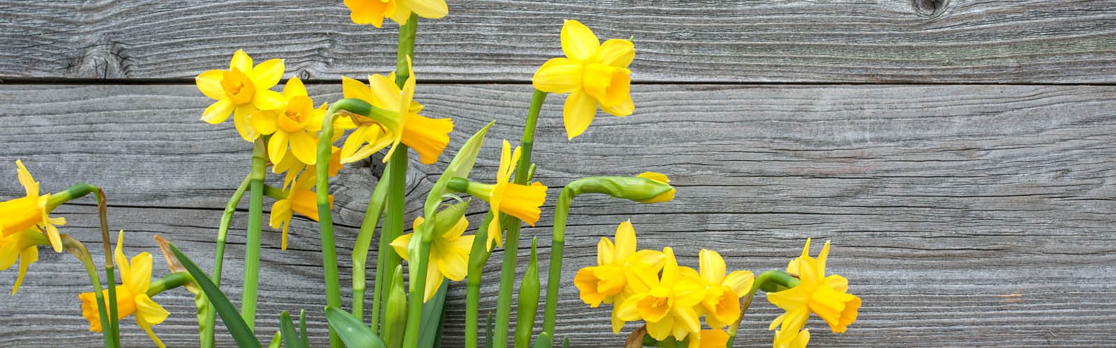 March