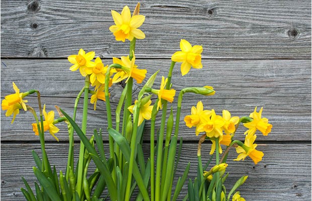 March